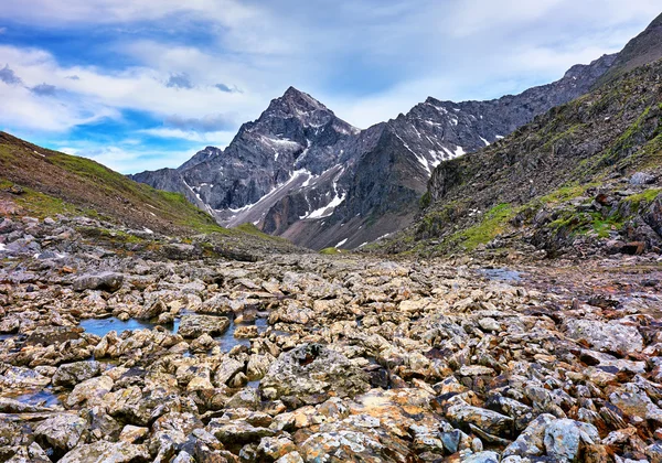 Piedras de colores manchados —  Fotos de Stock