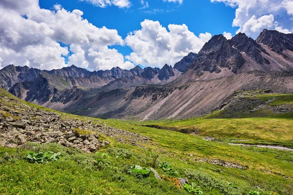 Bergsryggen tundra — Stockfoto