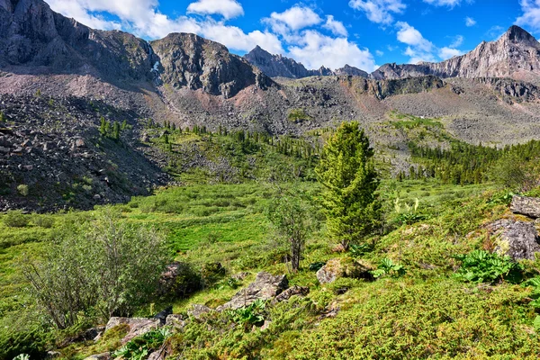 Pianura vicino alle montagne — Foto Stock