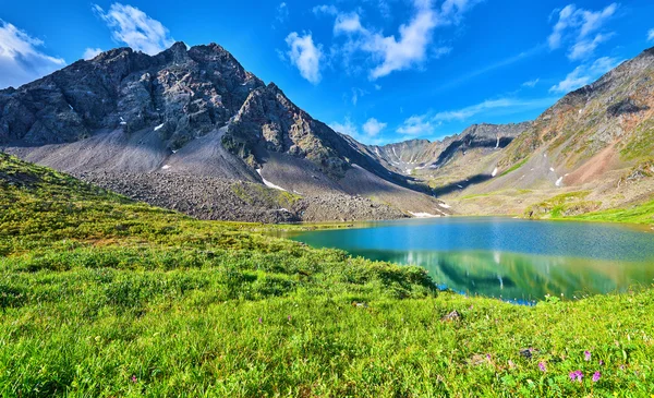 Dağ ve göl ve dağ çayır — Stok fotoğraf