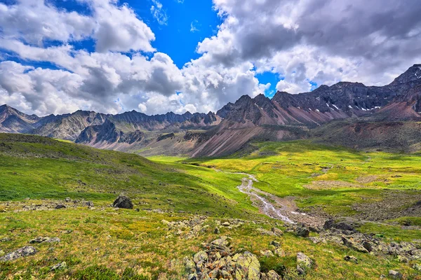 Alpine enger i fjelldalen – stockfoto