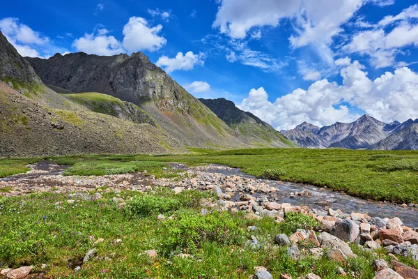 Stream and mountain meadow summer day — Stock Photo, Image