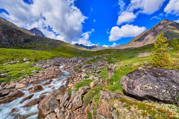 Mountain stream summer sunny day . Alpine Tundra — Stock Photo, Image