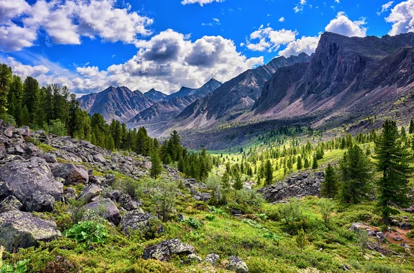 Красивая горная местность Восточной Сибири — стоковое фото