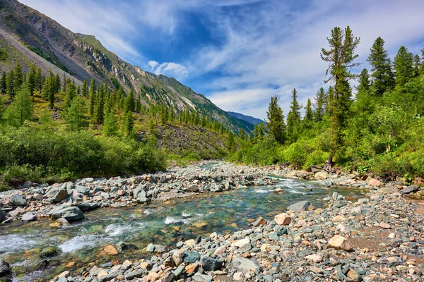 Rivière de montagne peu profonde en Sibérie orientale — Photo