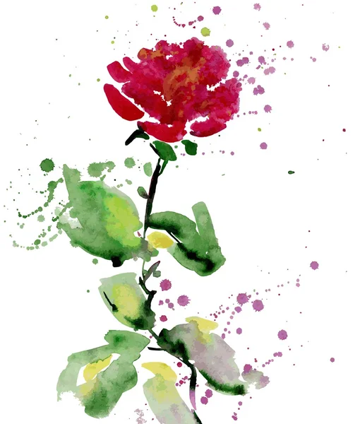 水彩画の赤いバラ. — ストックベクタ