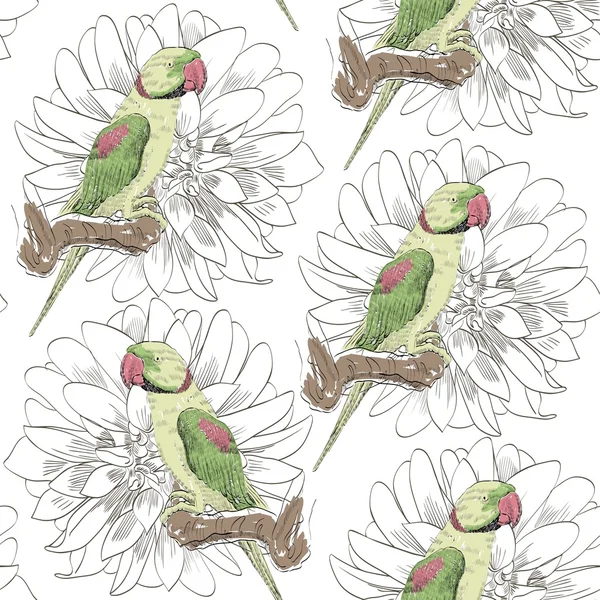 Parrot. Seamless pattern — Stock Vector