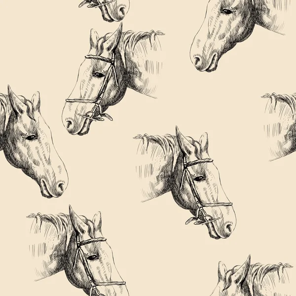 Głowa konia — Wektor stockowy