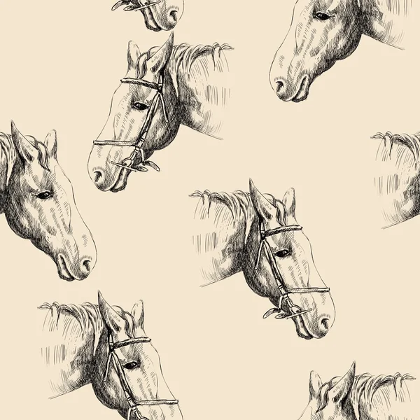 Cabeza de caballo — Vector de stock