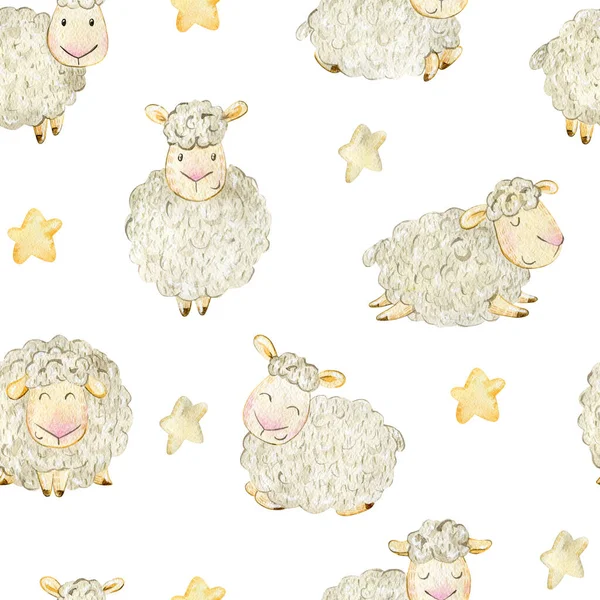 Sevimli komik koyunlar.. — Stok fotoğraf