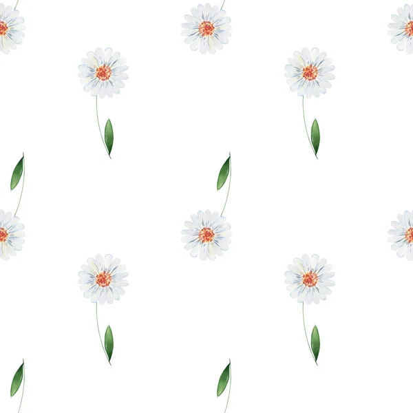 Akwarela bezszwowy wzór z kwiatami. Obrazek Stockowy