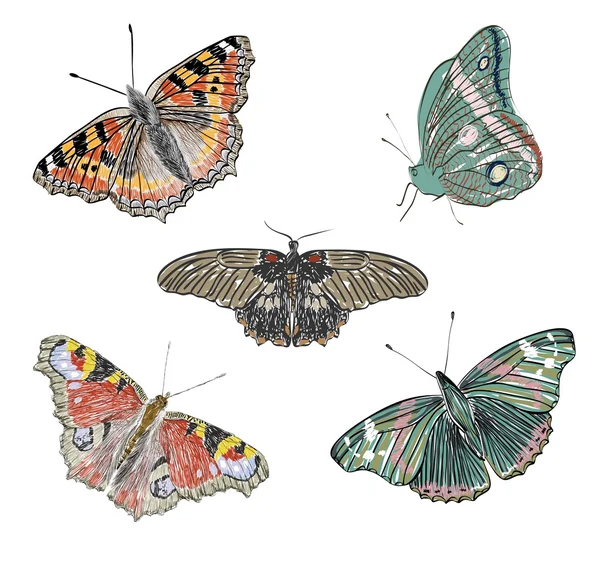 Motyle — Wektor stockowy