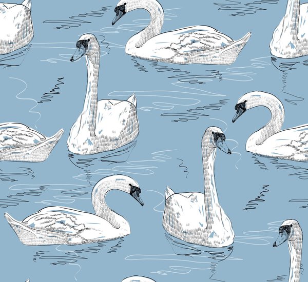 Лебедь-эскиз
