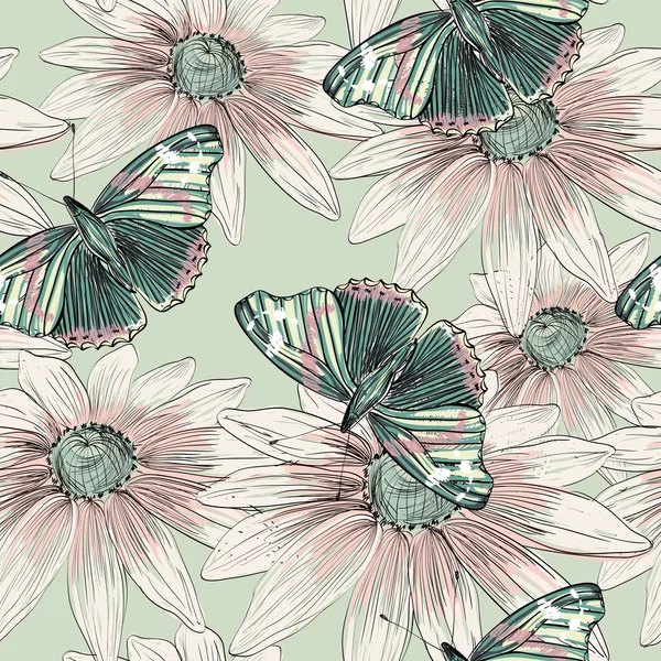 蝴蝶和雏菊 — 图库矢量图片