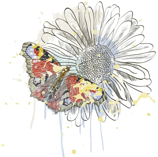 Papillon et marguerite — Image vectorielle