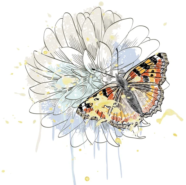 Papillon et marguerite — Image vectorielle