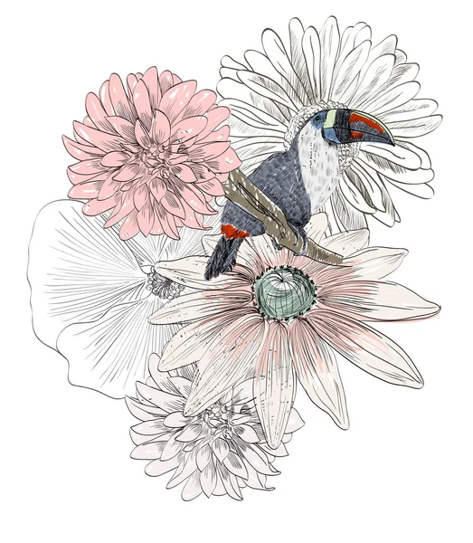 Perroquet — Image vectorielle