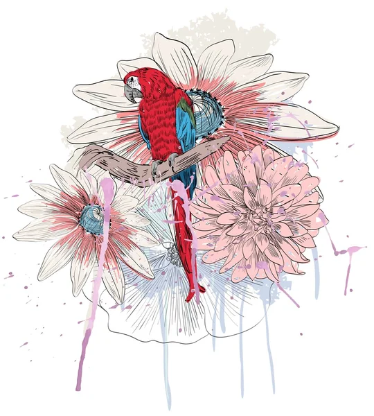 Perroquet — Image vectorielle