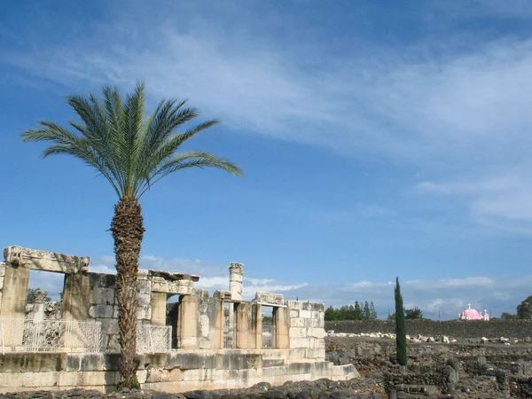 Sinagoga de capernaum — Fotografia de Stock