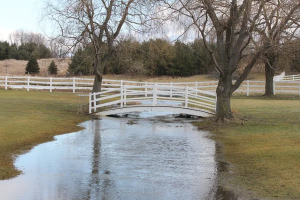 Brug wit hout — Stockfoto