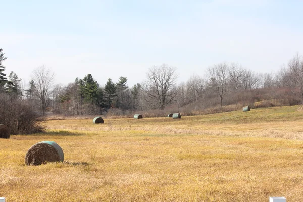 Hay Bales in Field — Stock Photo, Image