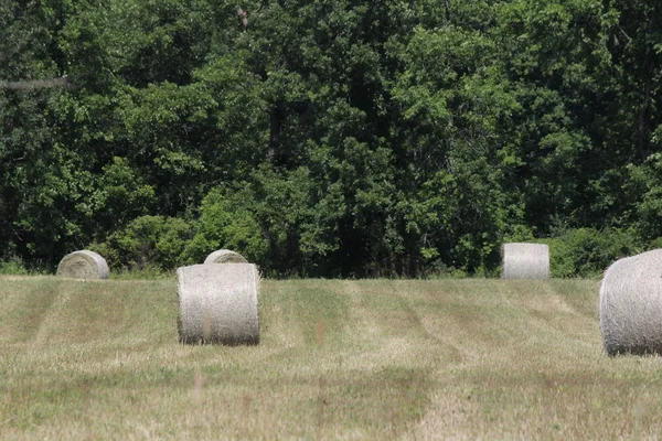 Hooibalen in het veld — Stockfoto