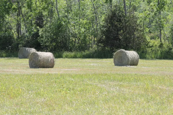 Hooibalen in het veld — Stockfoto