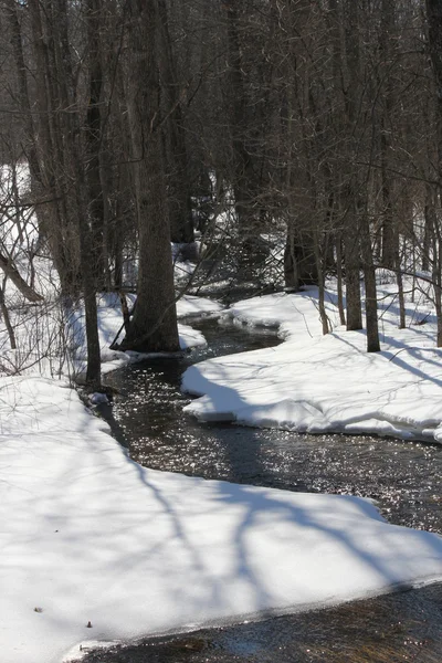 Bach trotz Schnee — Stockfoto