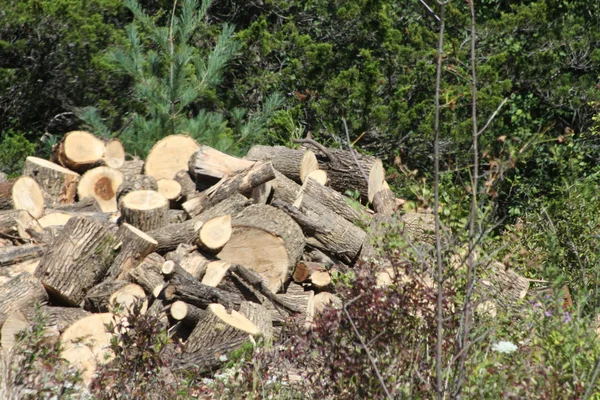 Cortar troncos para Leña —  Fotos de Stock