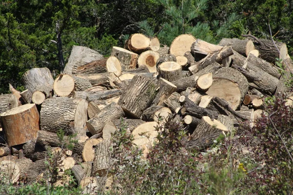 Skära stockar för ved — Stockfoto