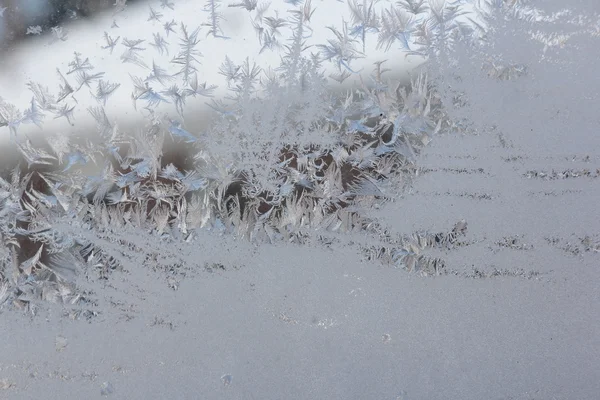Frost Design on Window — Stock Photo, Image