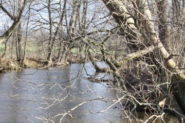 (Sular altında), Creek hızlı hareket