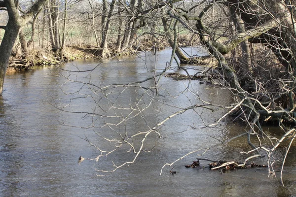 Creek (elektrolytem), rychle se pohybující — Stock fotografie