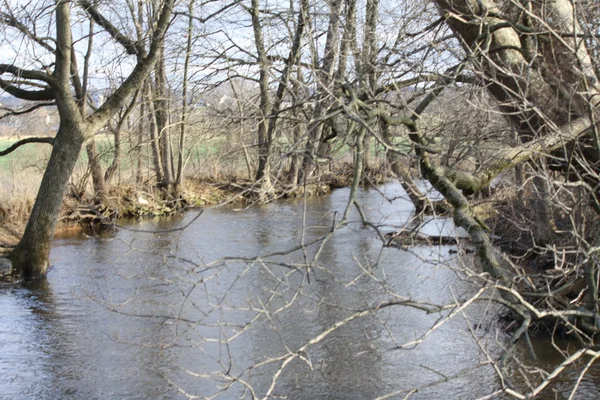 Creek (översvämmat), snabbrörliga — Stockfoto