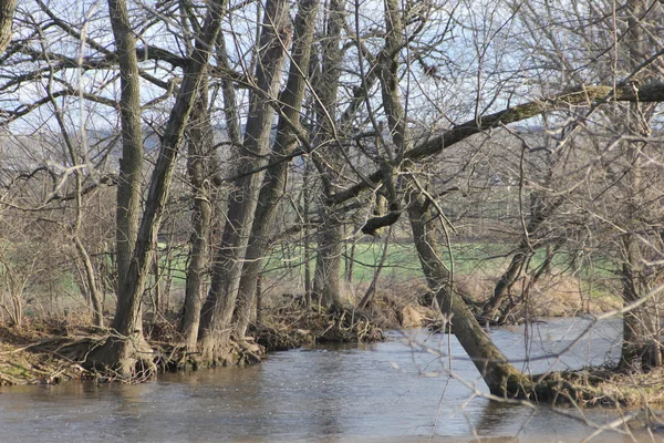 Creek (zalewany), szybko poruszających — Zdjęcie stockowe