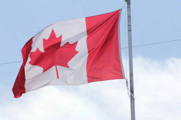 Flagge von Kanada — Stockfoto