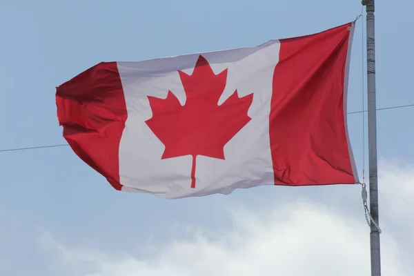 カナダの国旗 — ストック写真