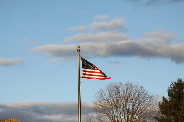 Flag of USA — Stock Photo, Image