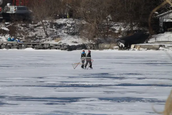 Garçons sur glace avec filet — Photo