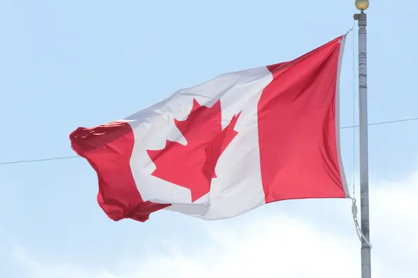 Canadas flagg – stockfoto