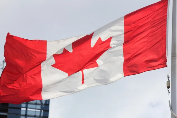 Bandera de Canada — Foto de Stock