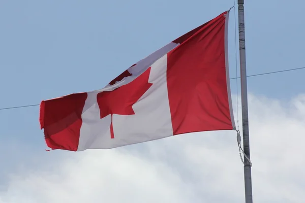 Bandera de Canada — Foto de Stock