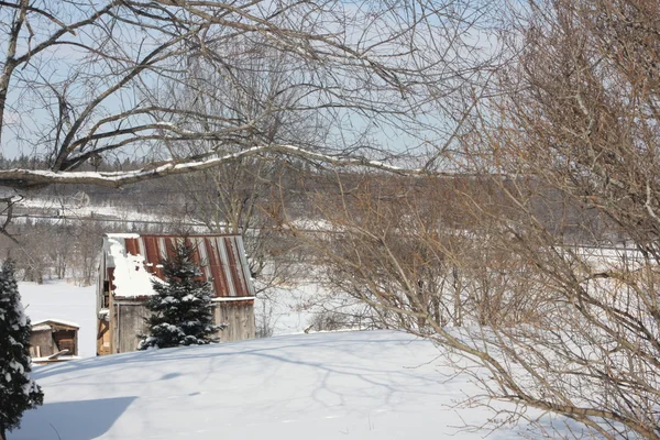 Shed, Rusty with Snow — Stock Photo, Image