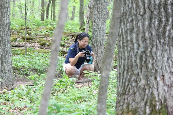 Woman in Woods with Camera — Stock Photo, Image