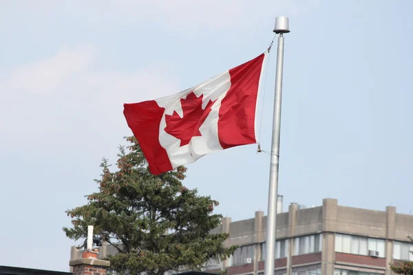 Kanadas flagg — Stockfoto