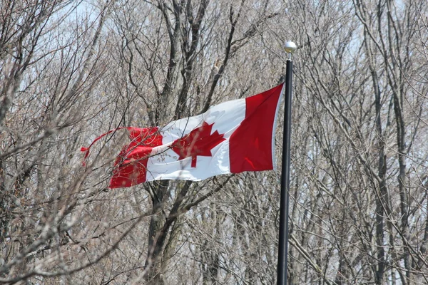 Kanadská vlajka — Stock fotografie