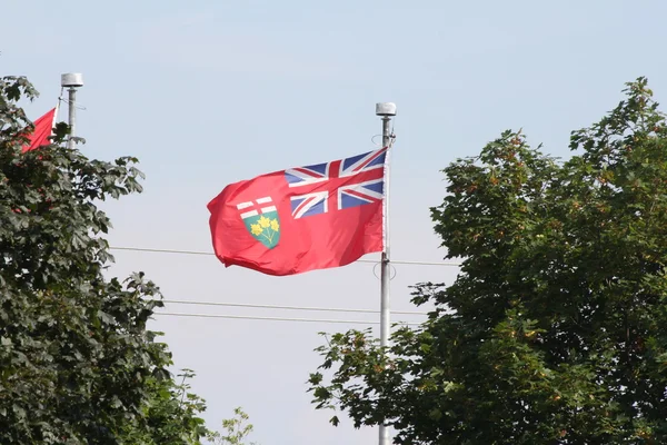 Flagga Ontario Kanada — Stockfoto