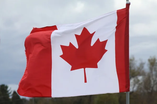 Bandera de Canada — Foto de Stock