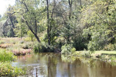 Onun bankaları aşırı akan dere