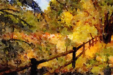 Kağıt üzerinde güzel arka bahçe